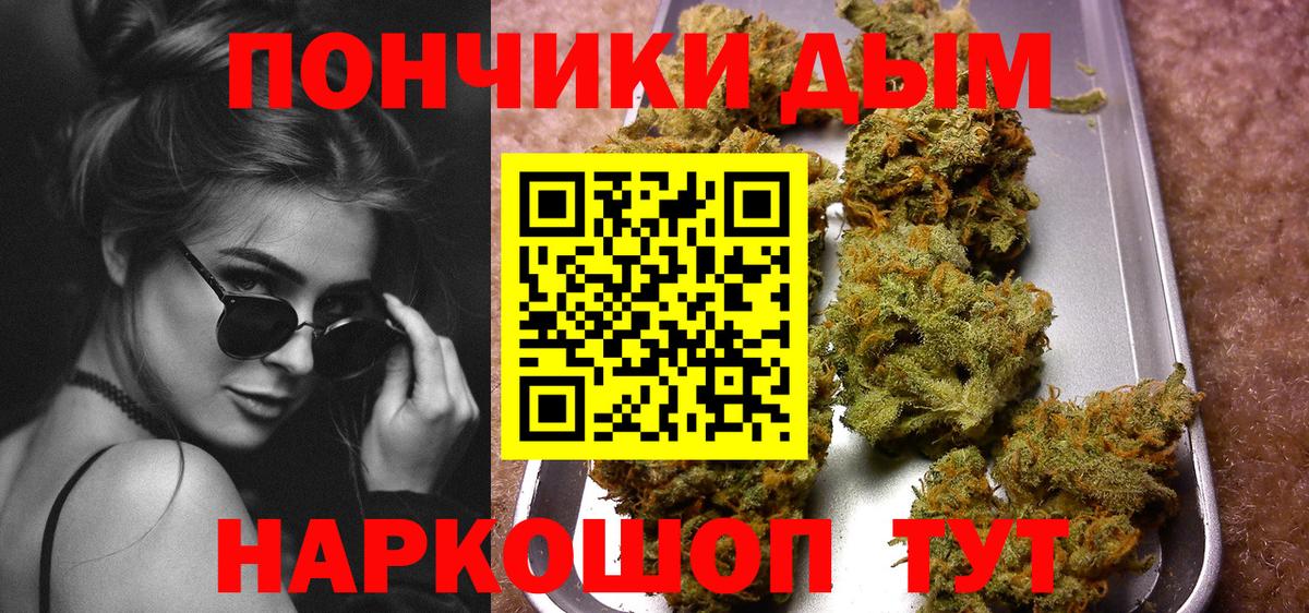 Бошки Шишки план Сокол